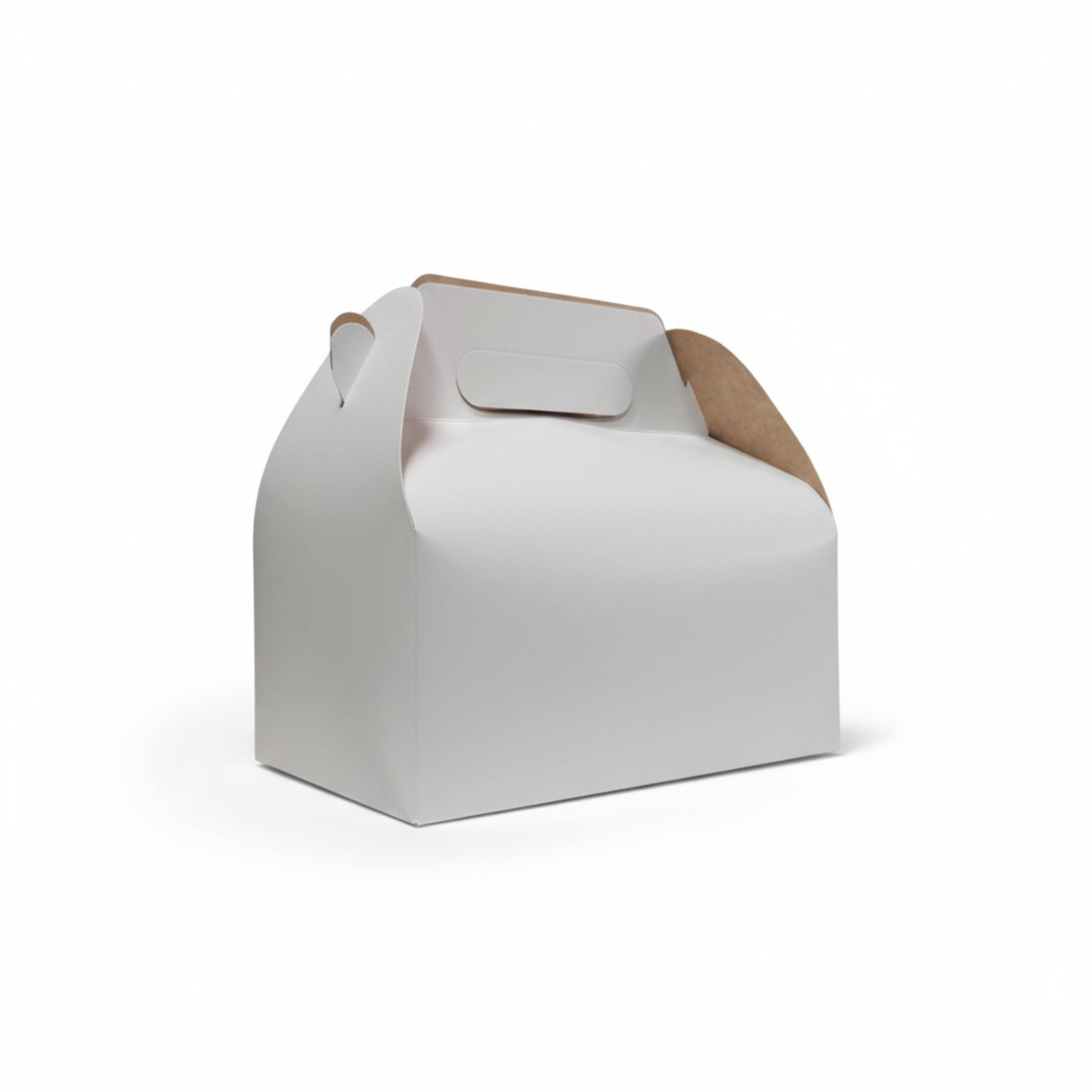 Fried Chicken Carrier 255 gsm